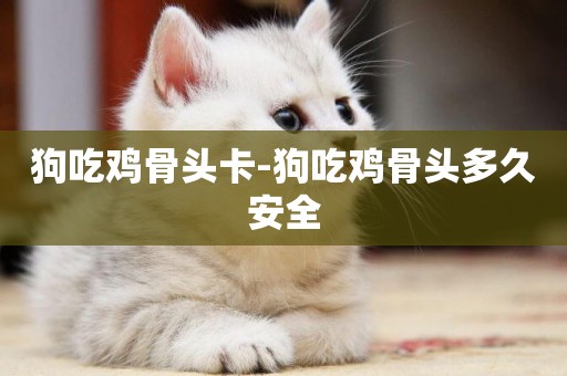 狗吃雞骨頭卡-狗吃雞骨頭多久安全