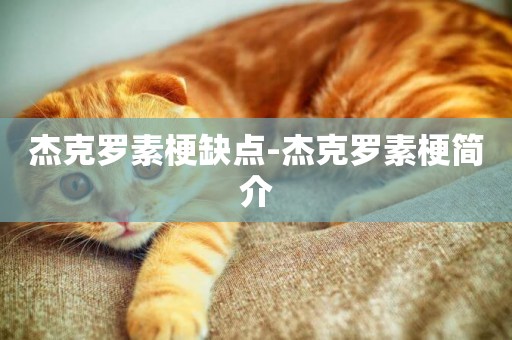 杰克羅素梗缺點-杰克羅素梗簡介