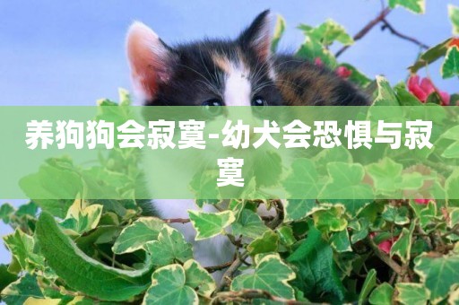 養狗狗會寂寞-幼犬會恐懼與寂寞