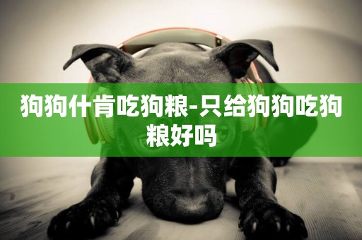 狗狗什肯吃狗糧-只給狗狗吃狗糧好嗎
