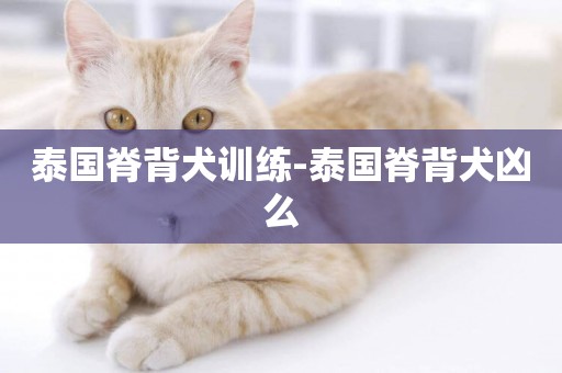 泰國脊背犬訓練-泰國脊背犬兇么
