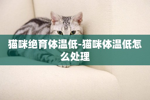 貓咪絕育體溫低-貓咪體溫低怎么處理