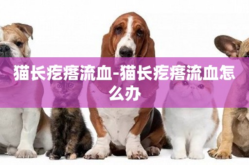 貓長疙瘩流血-貓長疙瘩流血怎么辦