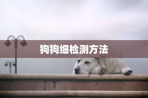 狗狗細檢測方法