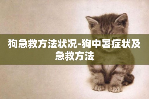 狗急救方法狀況-狗中暑癥狀及急救方法