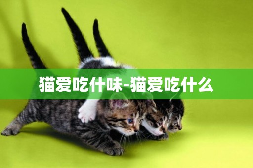 貓愛吃什味-貓愛吃什么