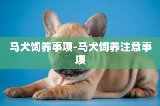 馬犬飼養事項-馬犬飼養注意事項