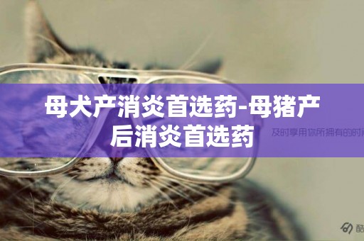 母犬產消炎首選藥-母豬產后消炎首選藥