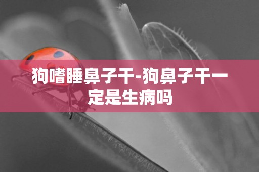 狗嗜睡鼻子干-狗鼻子干一定是生病嗎