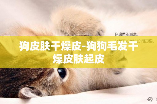 狗皮膚干燥皮-狗狗毛發干燥皮膚起皮