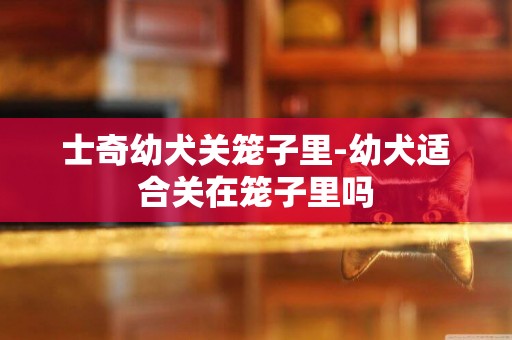 士奇幼犬關籠子里-幼犬適合關在籠子里嗎