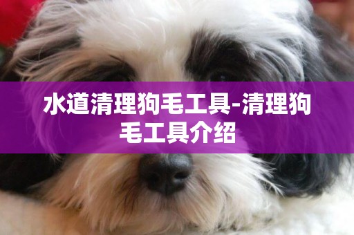 水道清理狗毛工具-清理狗毛工具介紹