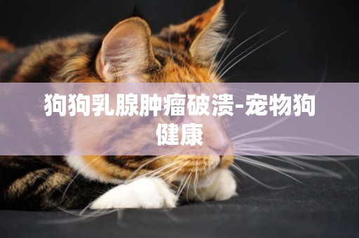 狗狗乳腺腫瘤破潰-寵物狗健康