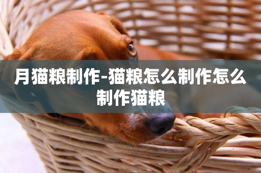 月貓糧制作-貓糧怎么制作怎么制作貓糧