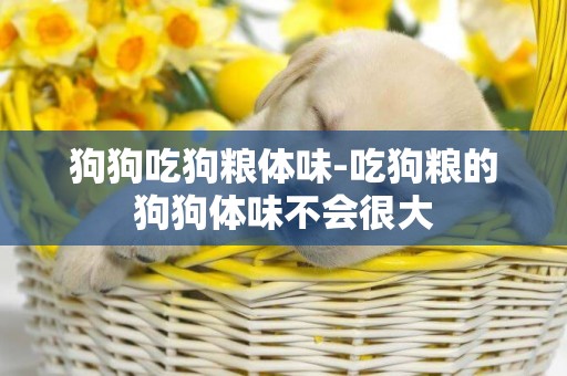 狗狗吃狗糧體味-吃狗糧的狗狗體味不會很大