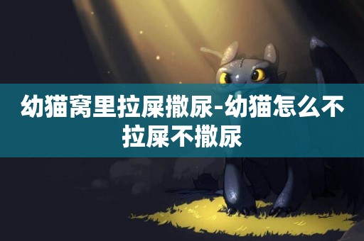 幼貓窩里拉屎撒尿-幼貓怎么不拉屎不撒尿