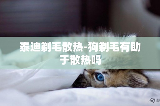 泰迪剃毛散熱-狗剃毛有助于散熱嗎