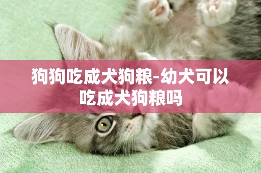 狗狗吃成犬狗糧-幼犬可以吃成犬狗糧嗎