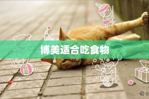 博美適合吃食物