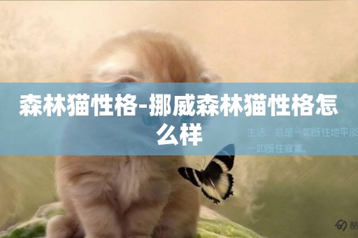 森林貓性格-挪威森林貓性格怎么樣
