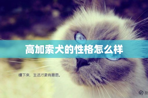 高加索犬的性格怎么樣