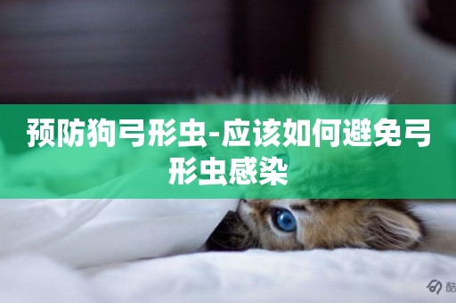預防狗弓形蟲-應該如何避免弓形蟲感染
