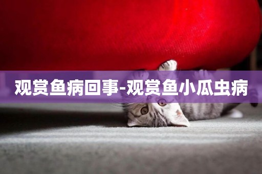 觀賞魚病回事-觀賞魚小瓜蟲病