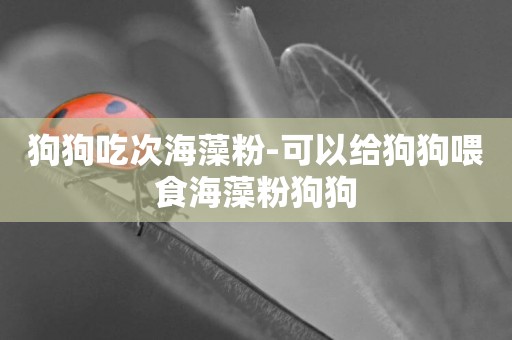 狗狗吃次海藻粉-可以給狗狗喂食海藻粉狗狗