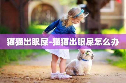 貓貓出眼屎-貓貓出眼屎怎么辦