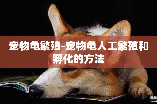 寵物龜繁殖-寵物龜人工繁殖和孵化的方法
