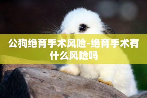 公狗絕育手術風險-絕育手術有什么風險嗎