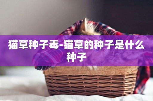 貓草種子毒-貓草的種子是什么種子