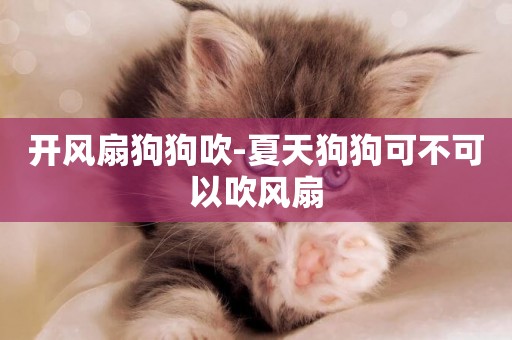 開風扇狗狗吹-夏天狗狗可不可以吹風扇