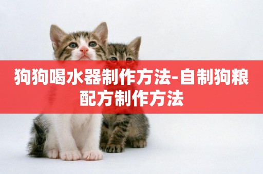 狗狗喝水器制作方法-自制狗糧配方制作方法