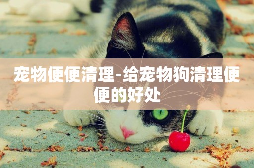 寵物便便清理-給寵物狗清理便便的好處