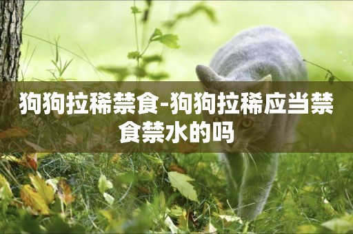 狗狗拉稀禁食-狗狗拉稀應當禁食禁水的嗎