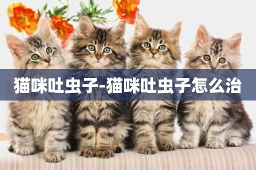 貓咪吐蟲子-貓咪吐蟲子怎么治