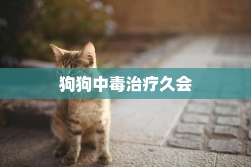 狗狗中毒治療久會