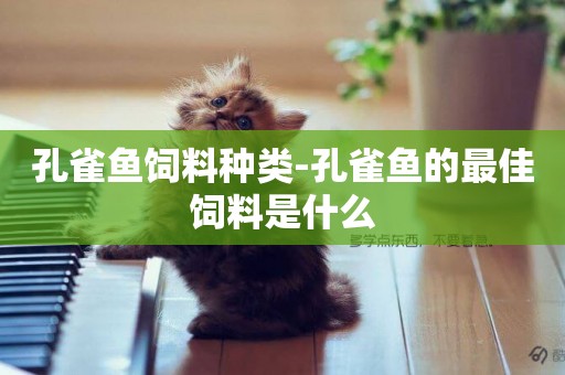 孔雀魚飼料種類-孔雀魚的最佳飼料是什么