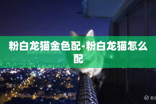 粉白龍貓金色配-粉白龍貓怎么配
