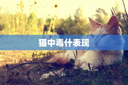 貓中毒什表現