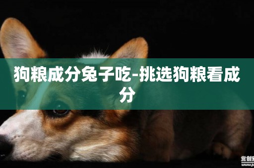 狗糧成分兔子吃-挑選狗糧看成分