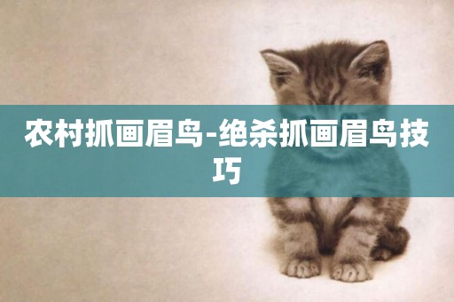 農村抓畫眉鳥-絕殺抓畫眉鳥技巧