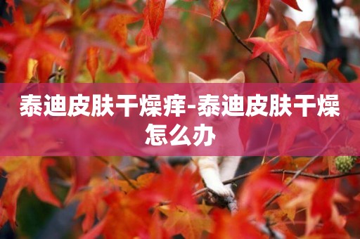泰迪皮膚干燥癢-泰迪皮膚干燥怎么辦