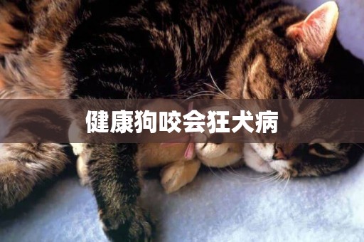 健康狗咬會狂犬病