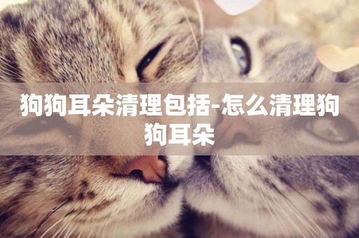 狗狗耳朵清理包括-怎么清理狗狗耳朵