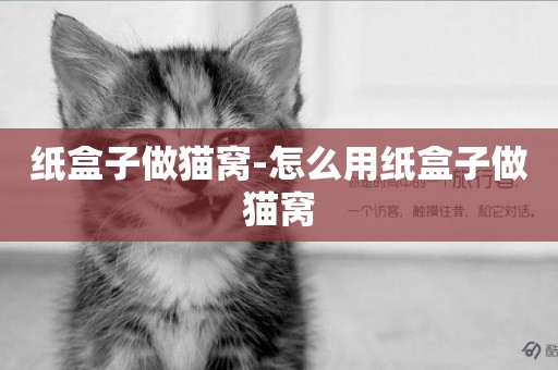 紙盒子做貓窩-怎么用紙盒子做貓窩