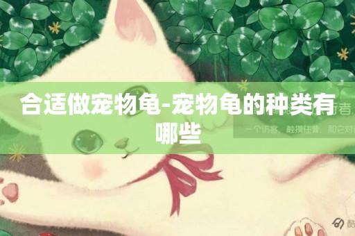 合適做寵物龜-寵物龜的種類有哪些