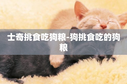 士奇挑食吃狗糧-狗挑食吃的狗糧