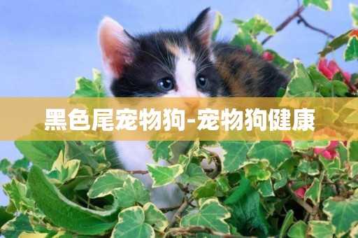 黑色尾寵物狗-寵物狗健康